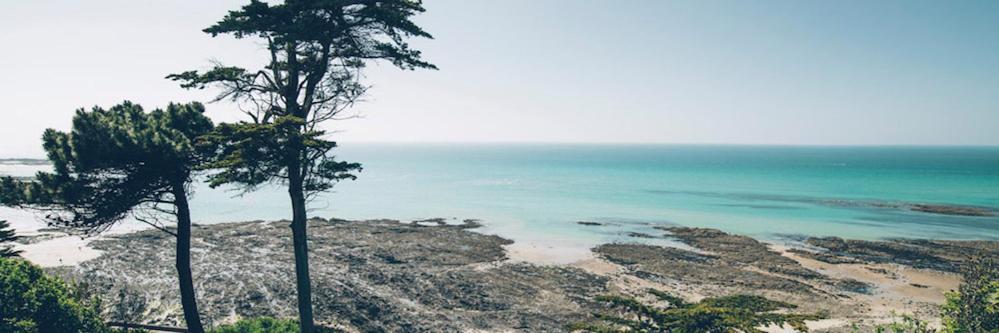 Les Iles Vue Sur Mer Agon-Coutainville Zewnętrze zdjęcie