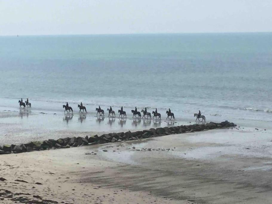 Les Iles Vue Sur Mer Agon-Coutainville Zewnętrze zdjęcie